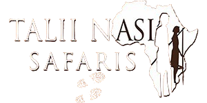 Talii Nasi Safaris